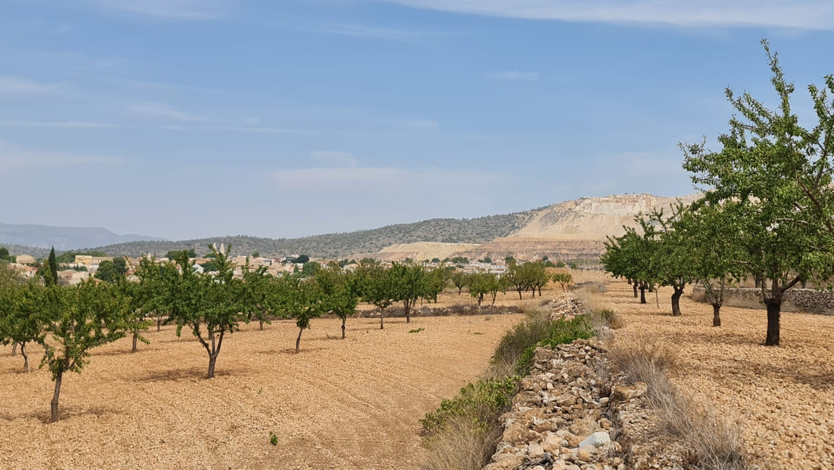 Se vende Terreno Rustico  en Costa Blanca, Alicante, España