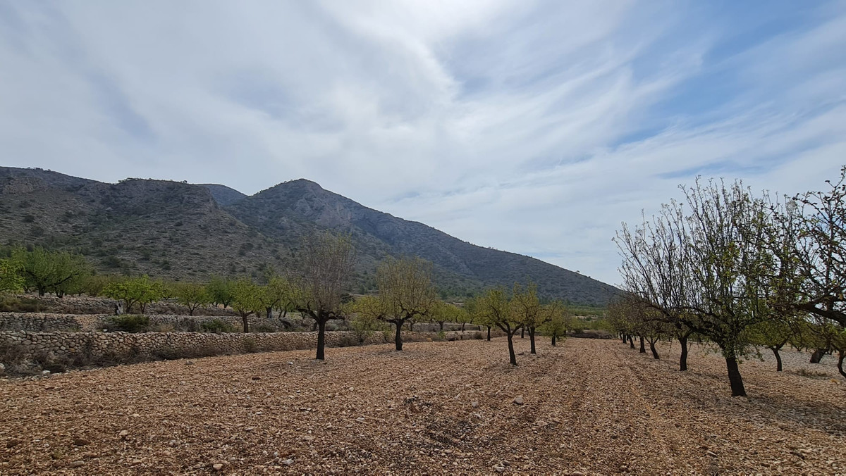 Se vende Terreno Rustico  en Costa Blanca, Alicante, España