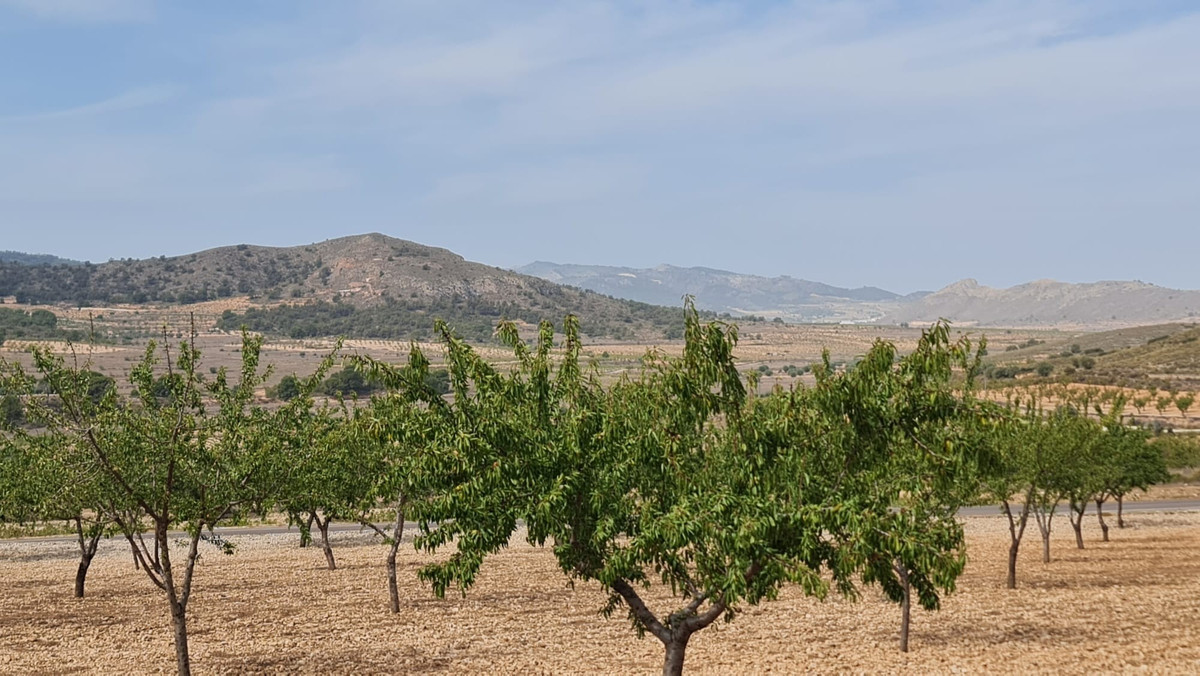 Se vende Terreno Rustico  en Costa Blanca, Alicante, España
