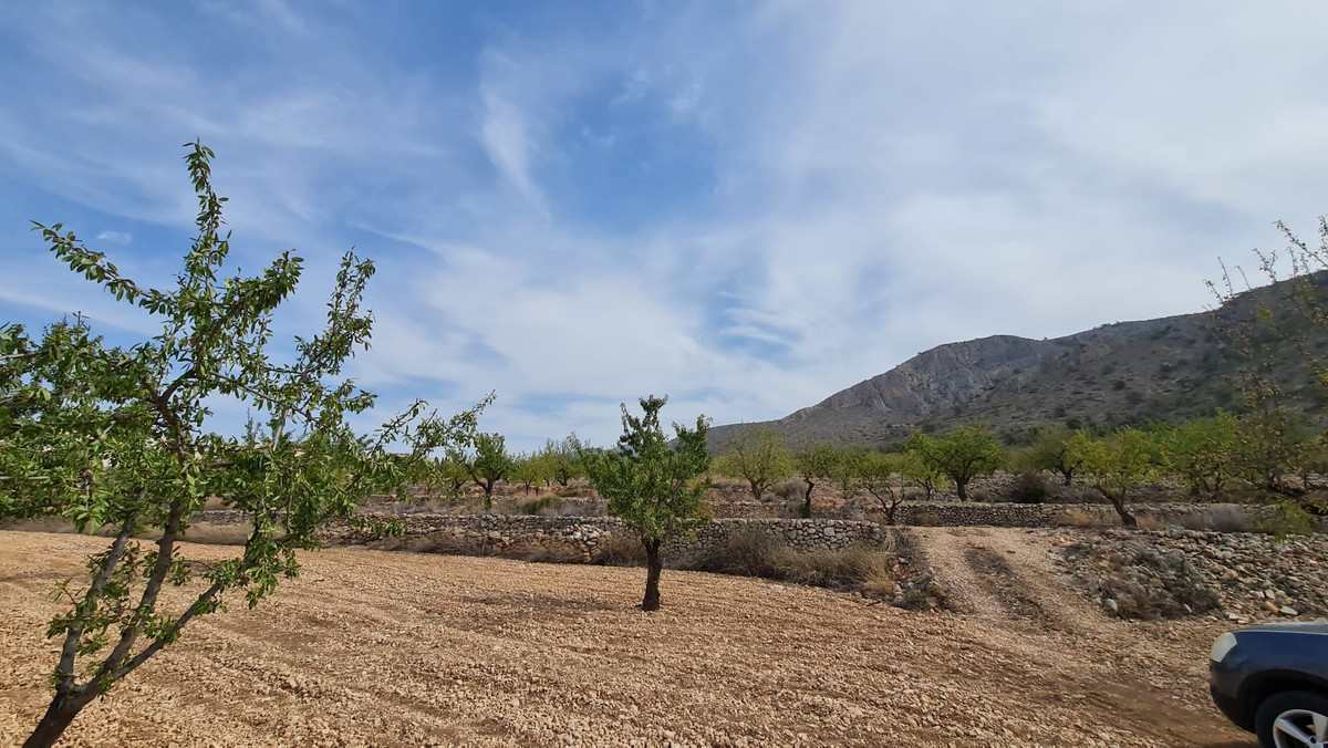 Se vende Terreno Rustico  en Costa Blanca, Alicante, España