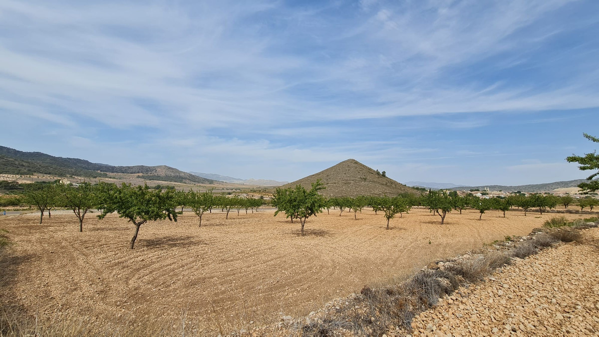 Se vende Terreno Rustico  en Costa Blanca, Alicante, España