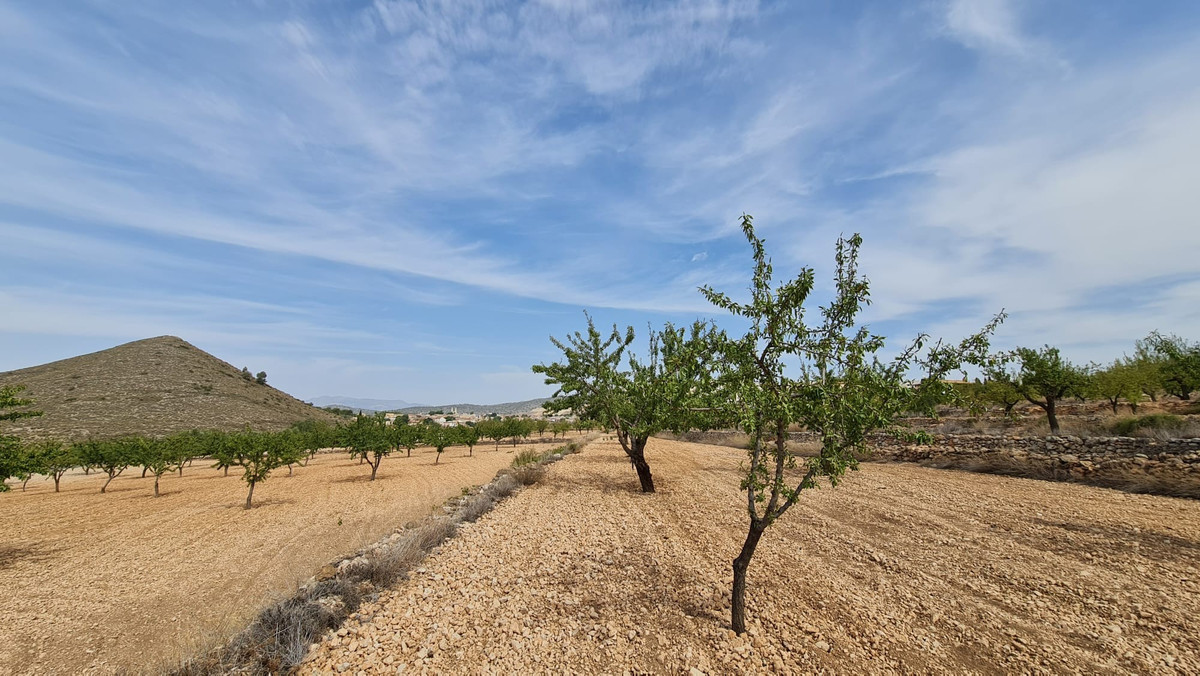 Se vende Terreno Rustico  en Costa Blanca, Alicante, España