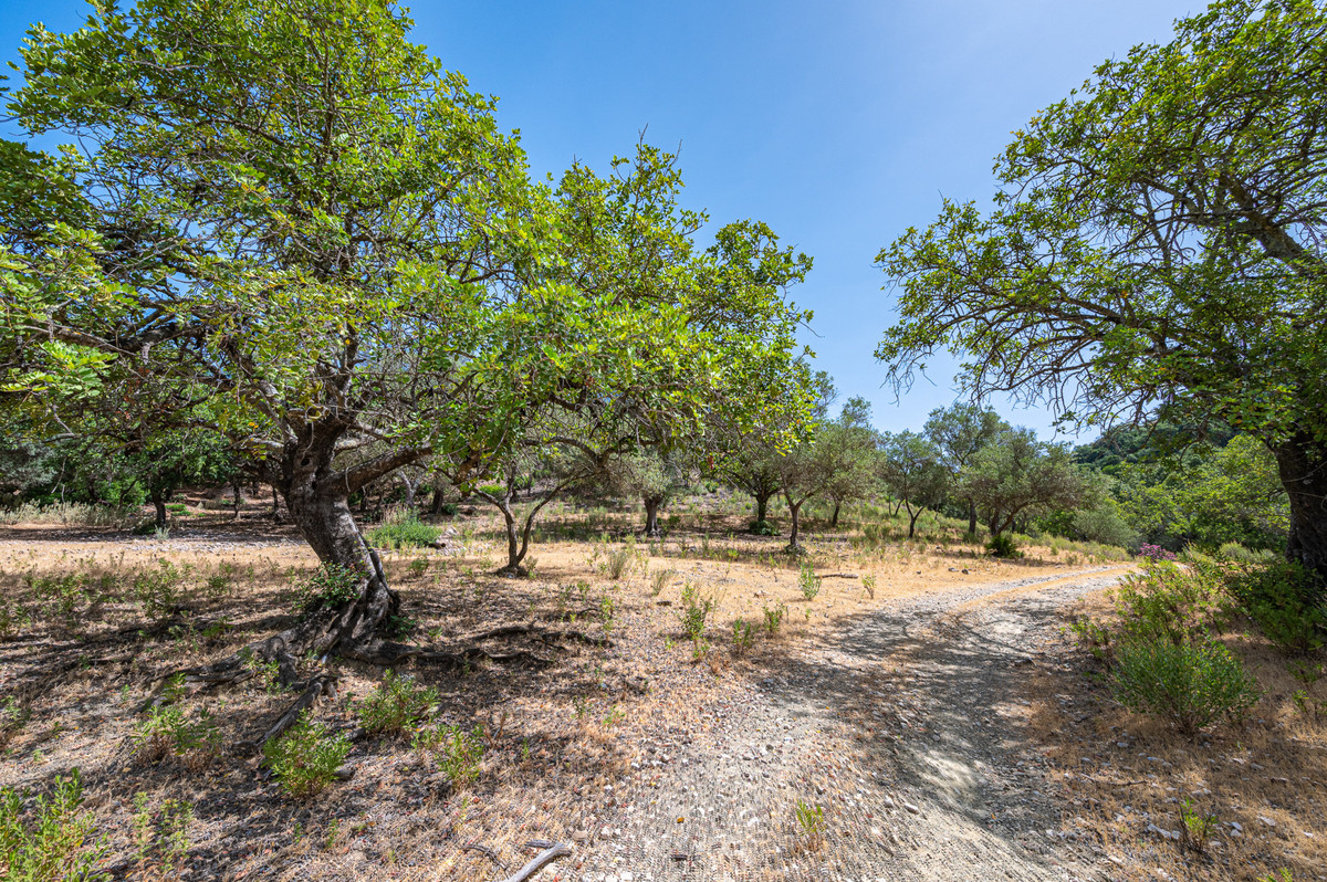 Se vende Terreno Rustico  en Costa Del Sol, Málaga, España