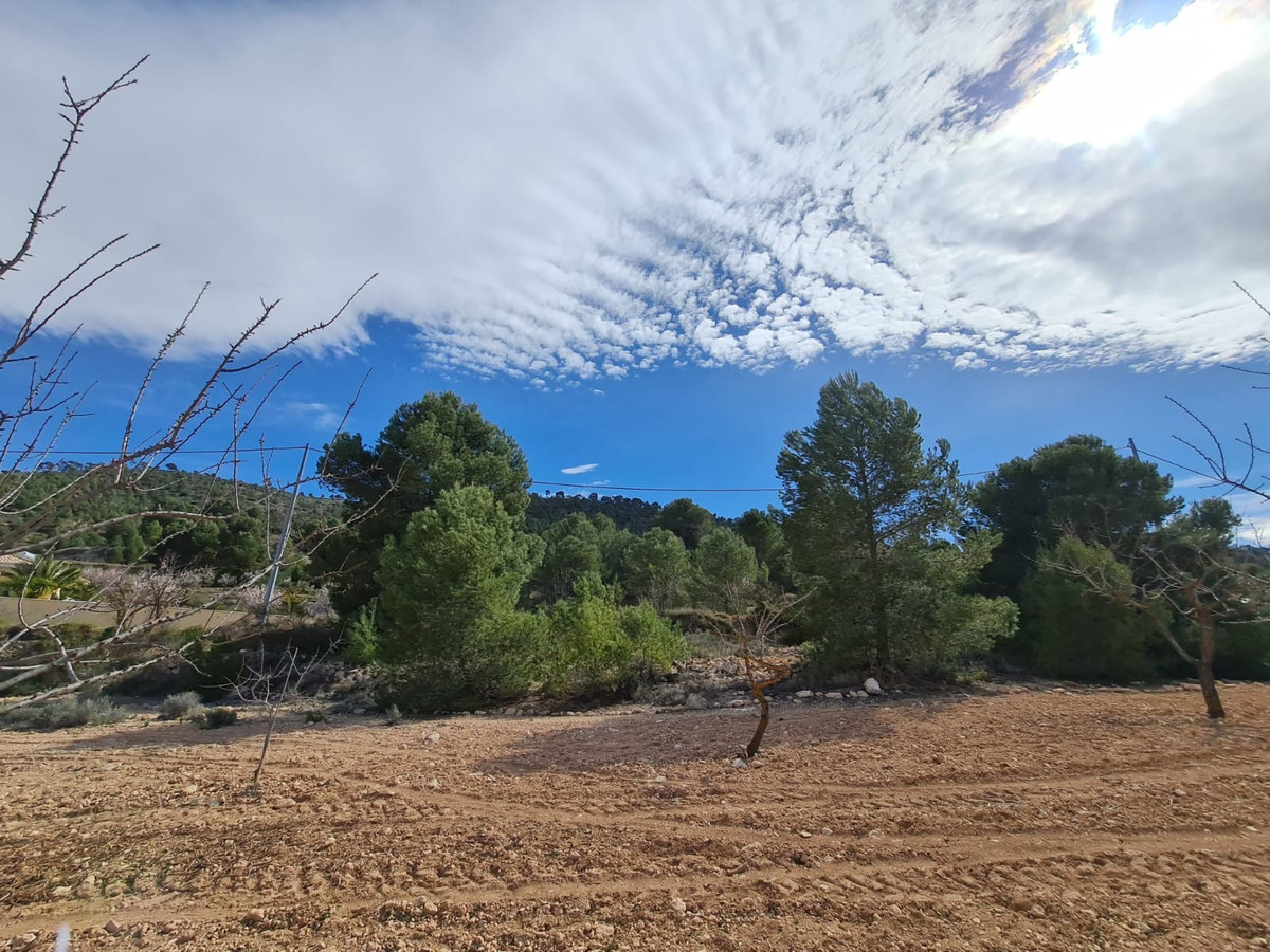Se vende Terreno Rustico  en Costa Blanca, Alicante, España