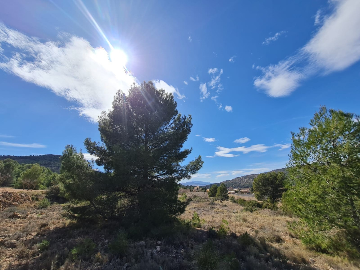 Se vende Terreno Rustico  en Costa Blanca, Alicante, España