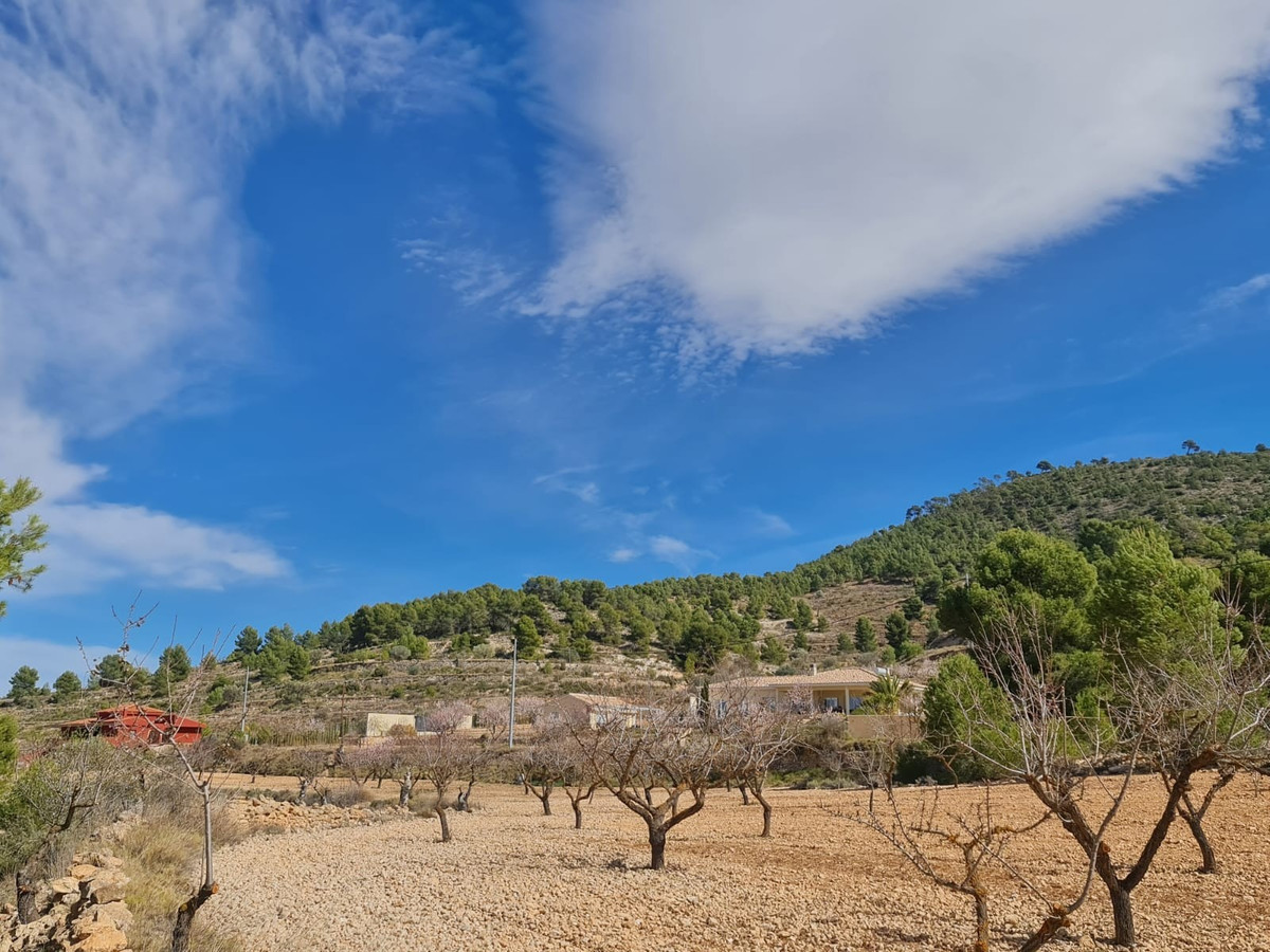 Se vende Terreno Rustico  en Costa Blanca, Alicante, España