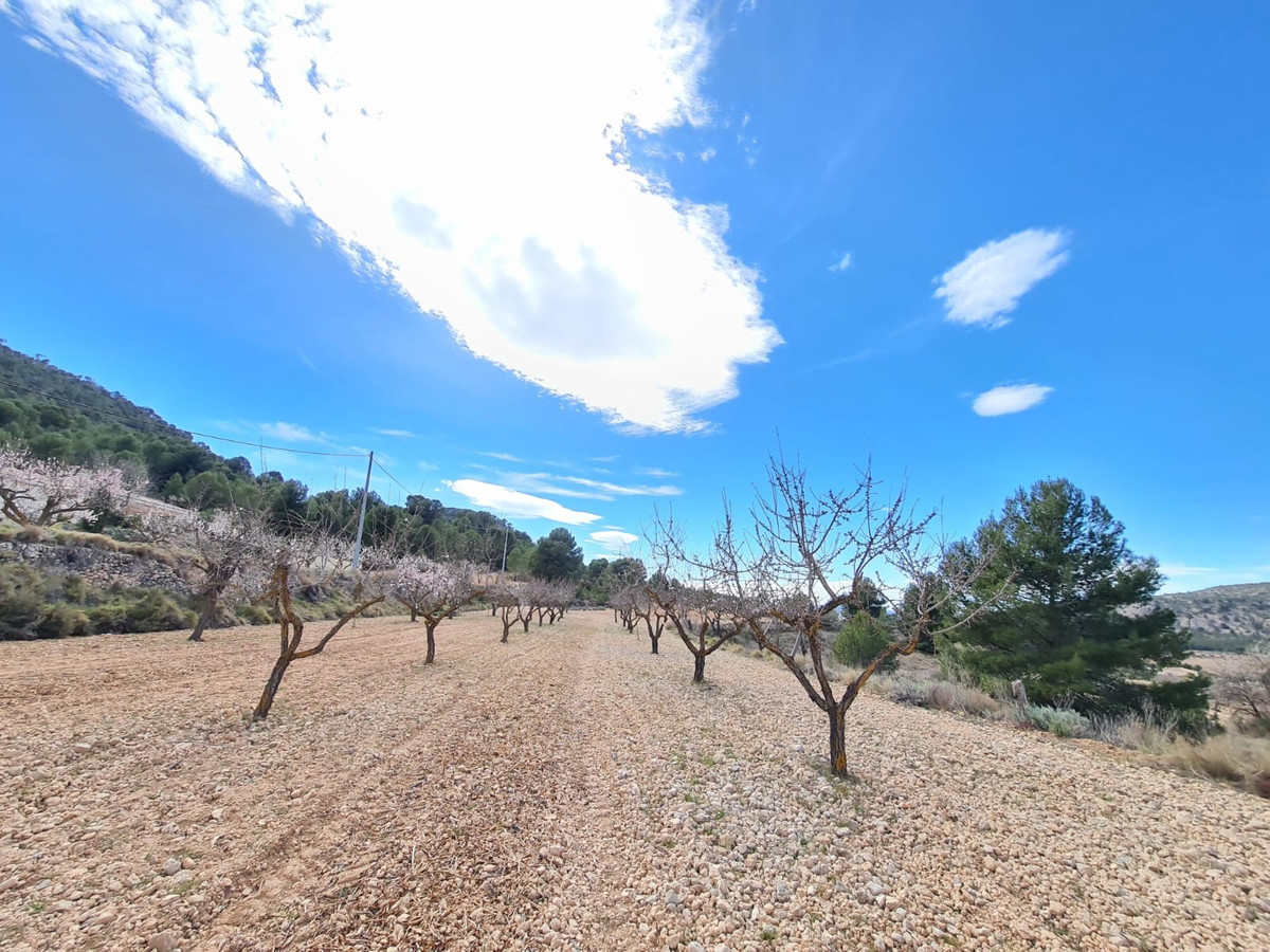 Se vende Terreno Rustico  en Costa Blanca, Alicante, España