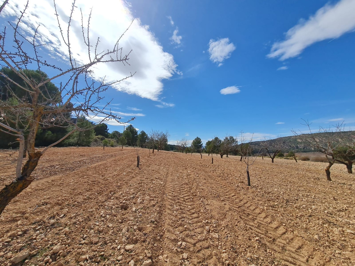 Se vende Terreno Rustico  en Costa Blanca, Alicante, España