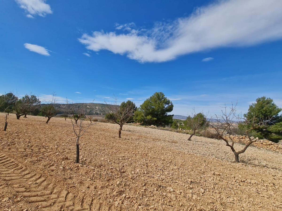 Se vende Terreno Rustico  en Costa Blanca, Alicante, España