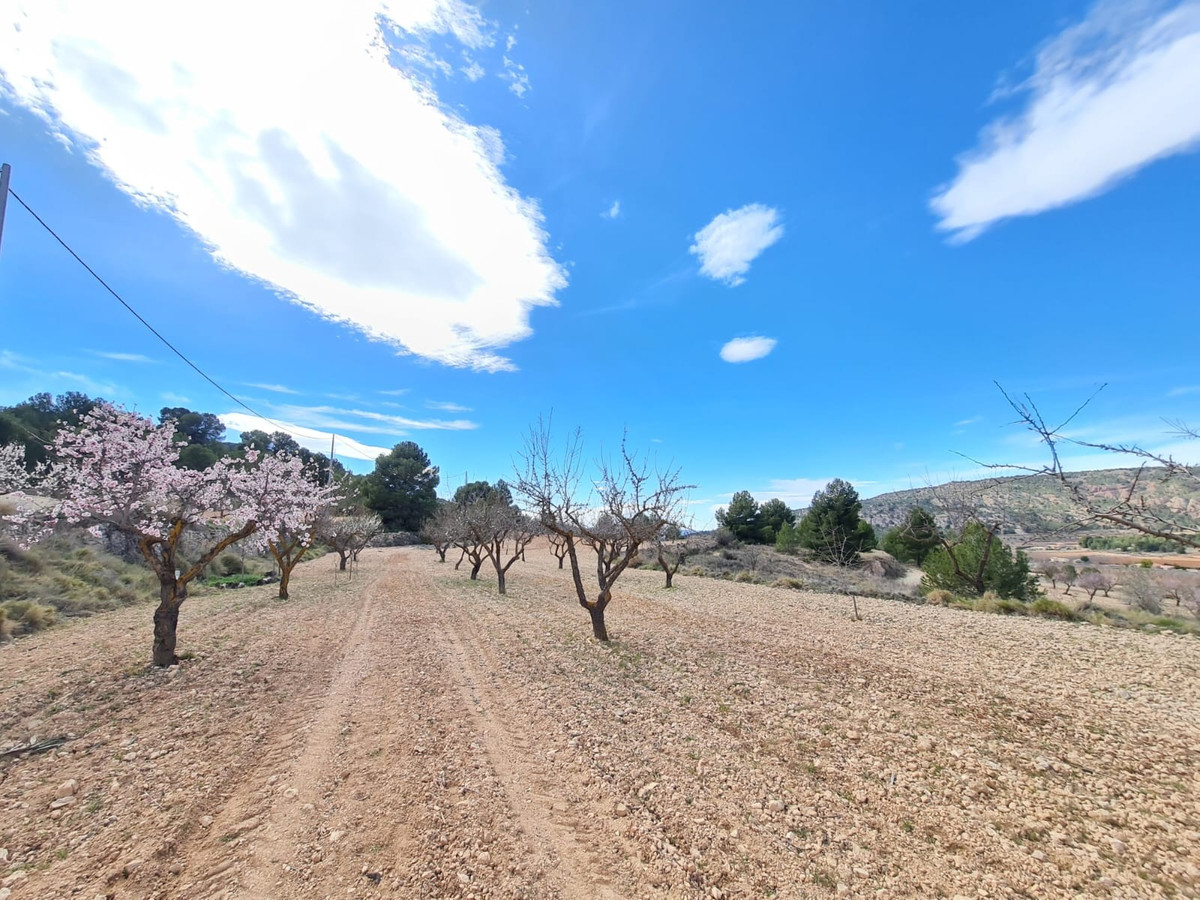 Se vende Terreno Rustico  en Costa Blanca, Alicante, España