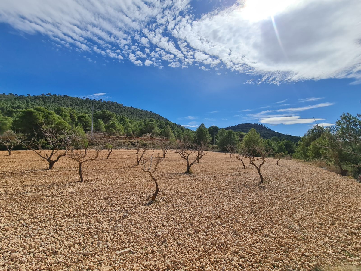 Se vende Terreno Rustico  en Costa Blanca, Alicante, España