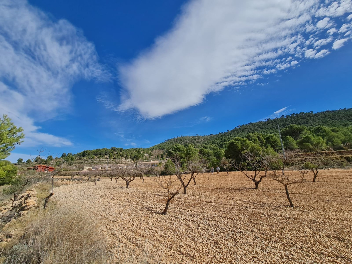 Se vende Terreno Rustico  en Costa Blanca, Alicante, España