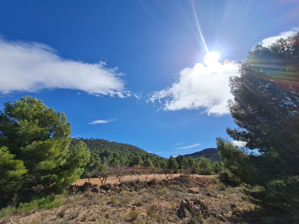 Se vende Terreno Rustico  en Costa Blanca, Alicante, España