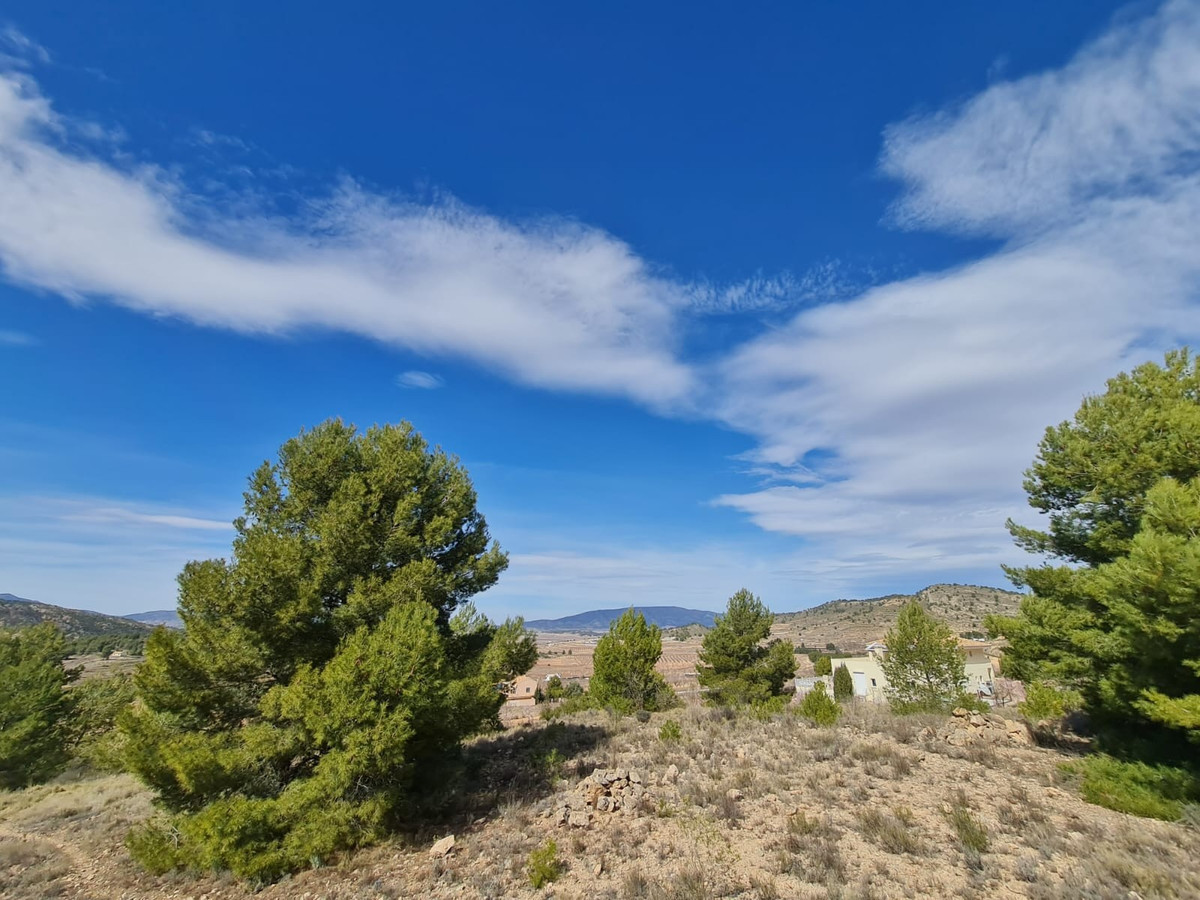 Se vende Terreno Rustico  en Costa Blanca, Alicante, España