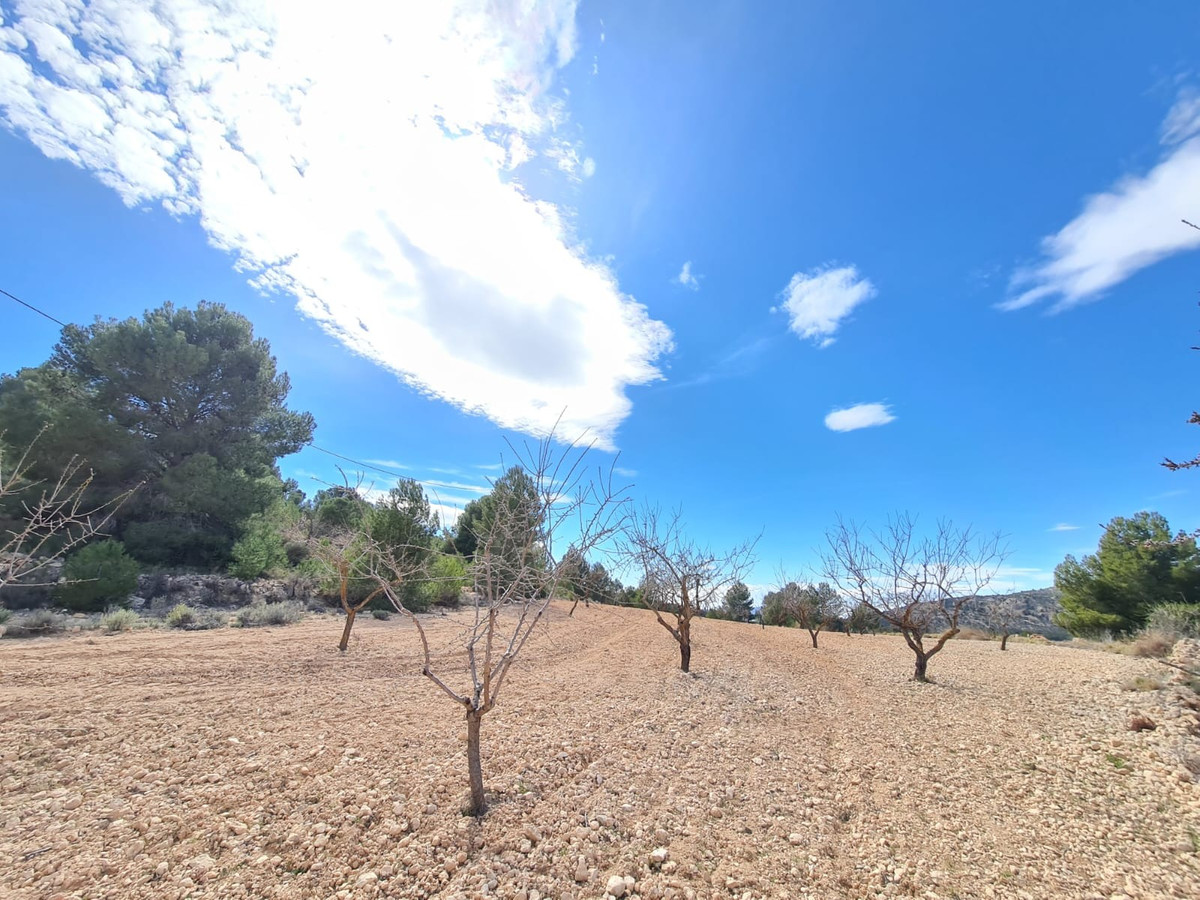Se vende Terreno Rustico  en Costa Blanca, Alicante, España