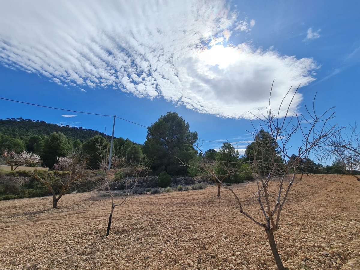 Se vende Terreno Rustico  en Costa Blanca, Alicante, España