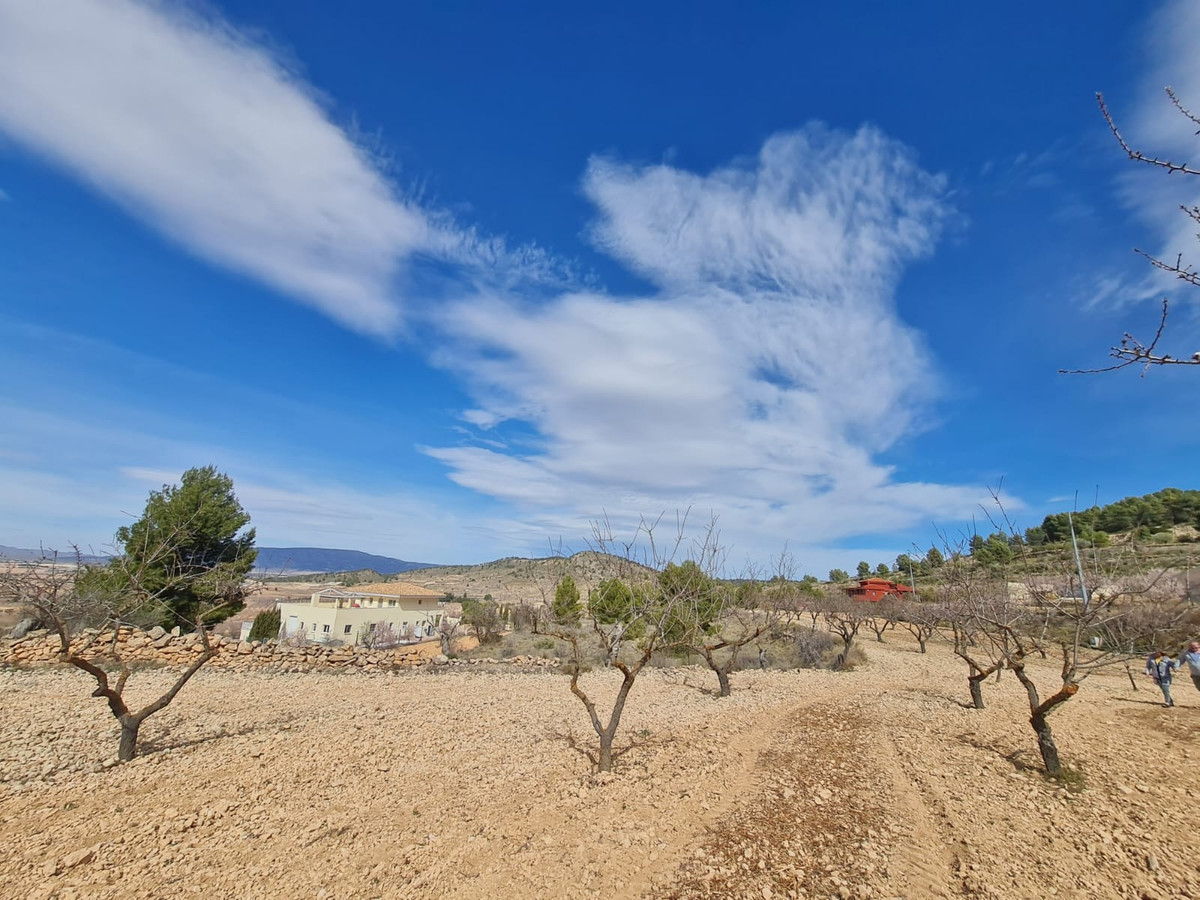 Se vende Terreno Rustico  en Costa Blanca, Alicante, España