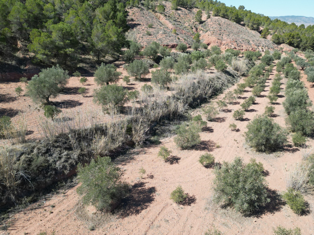 Se vende Terreno Rustico  en Costa Blanca, Alicante, España
