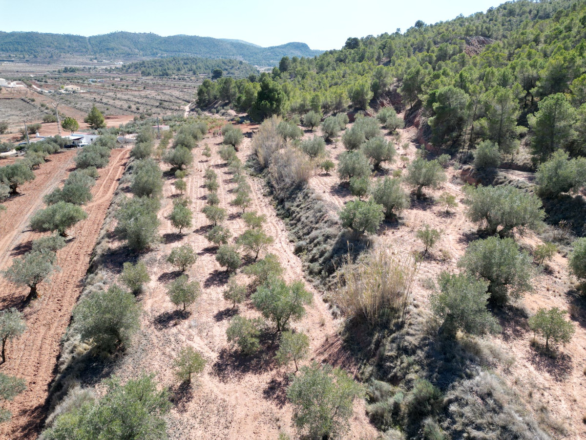 Se vende Terreno Rustico  en Costa Blanca, Alicante, España