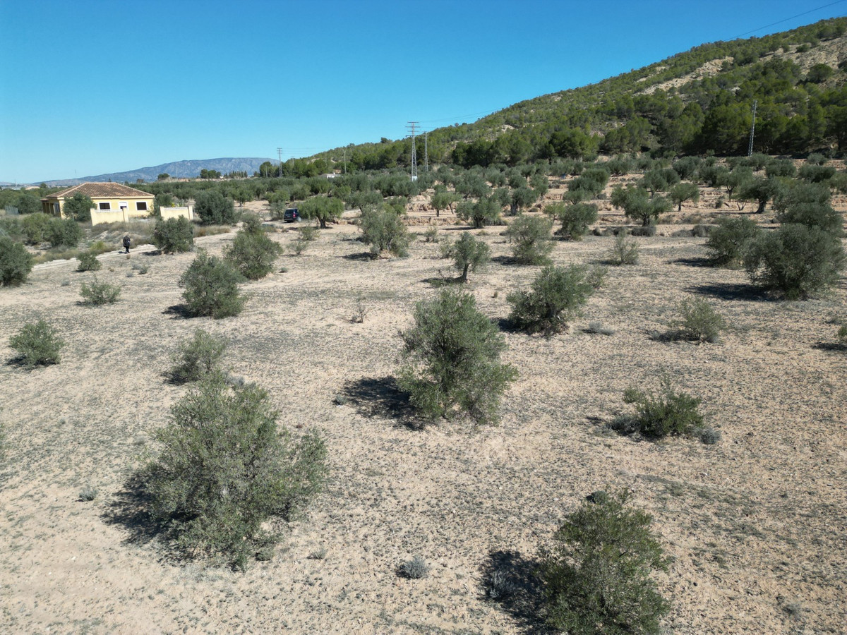 Plots for sale in Pinoso Costa Blanca, Alicante, Spain