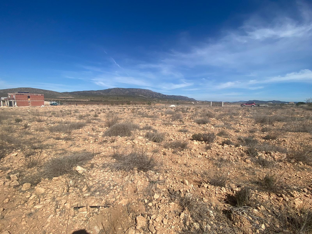 Plots for sale in Pinoso Costa Blanca, Alicante, Spain