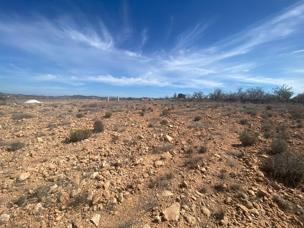 Plots for sale in Pinoso Costa Blanca, Alicante, Spain