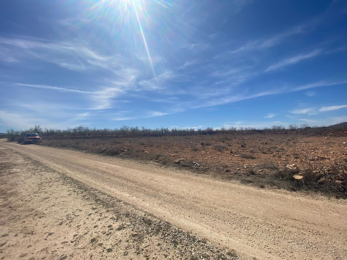 Plots for sale in Pinoso Costa Blanca, Alicante, Spain