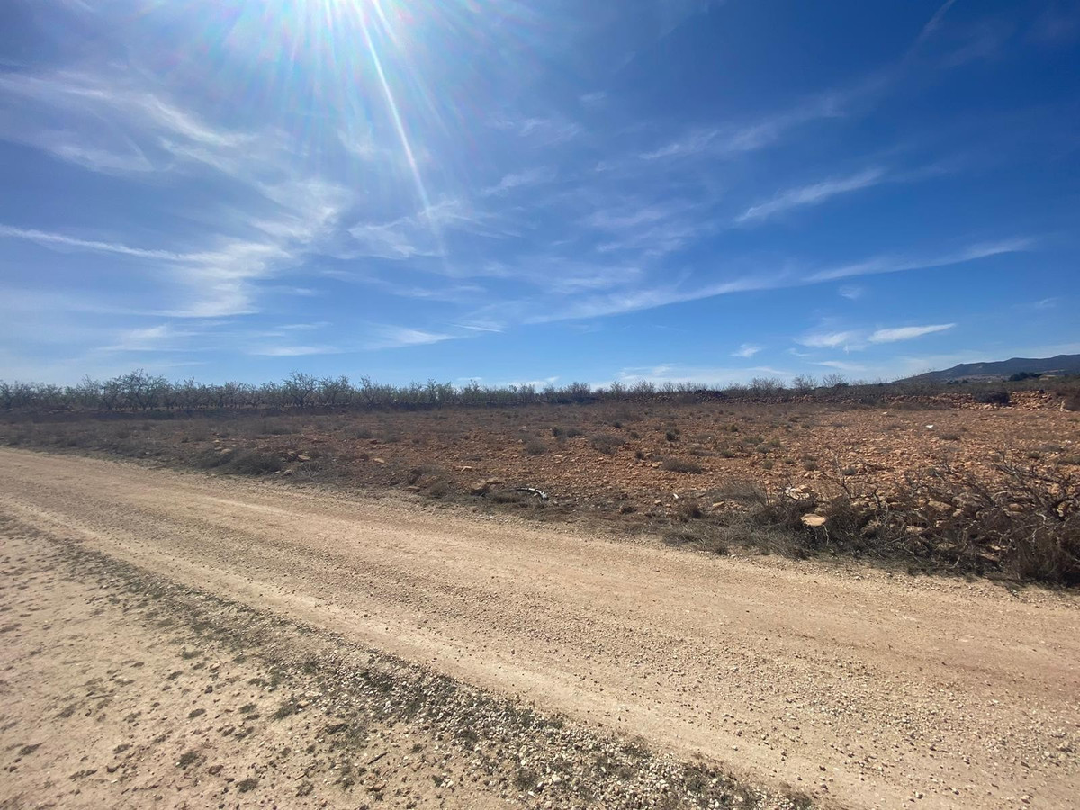 Plots for sale in Pinoso Costa Blanca, Alicante, Spain