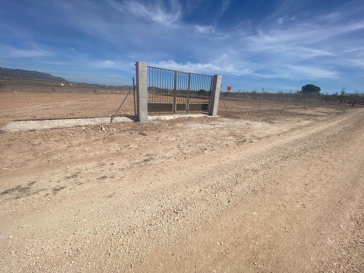 Plots for sale in Pinoso Costa Blanca, Alicante, Spain