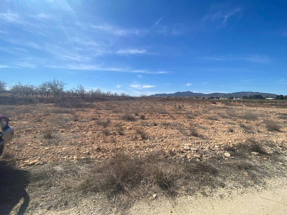 Plots for sale in Pinoso Costa Blanca, Alicante, Spain