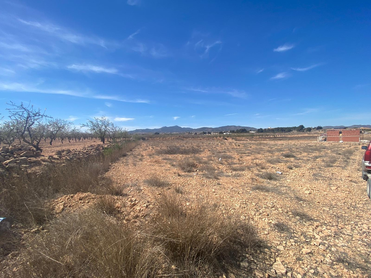 Plots for sale in Pinoso Costa Blanca, Alicante, Spain