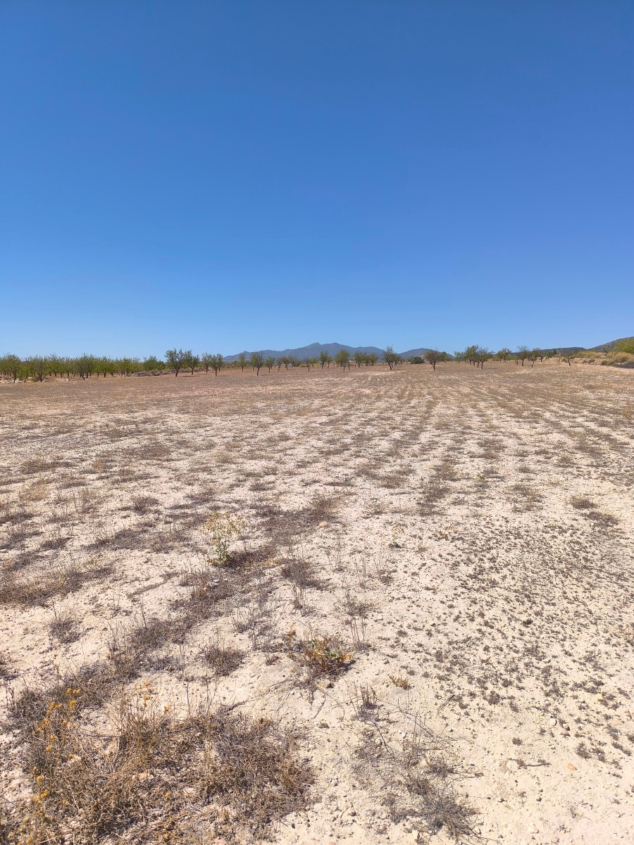 Se vende Terreno Rustico  en Costa Blanca, Alicante, España
