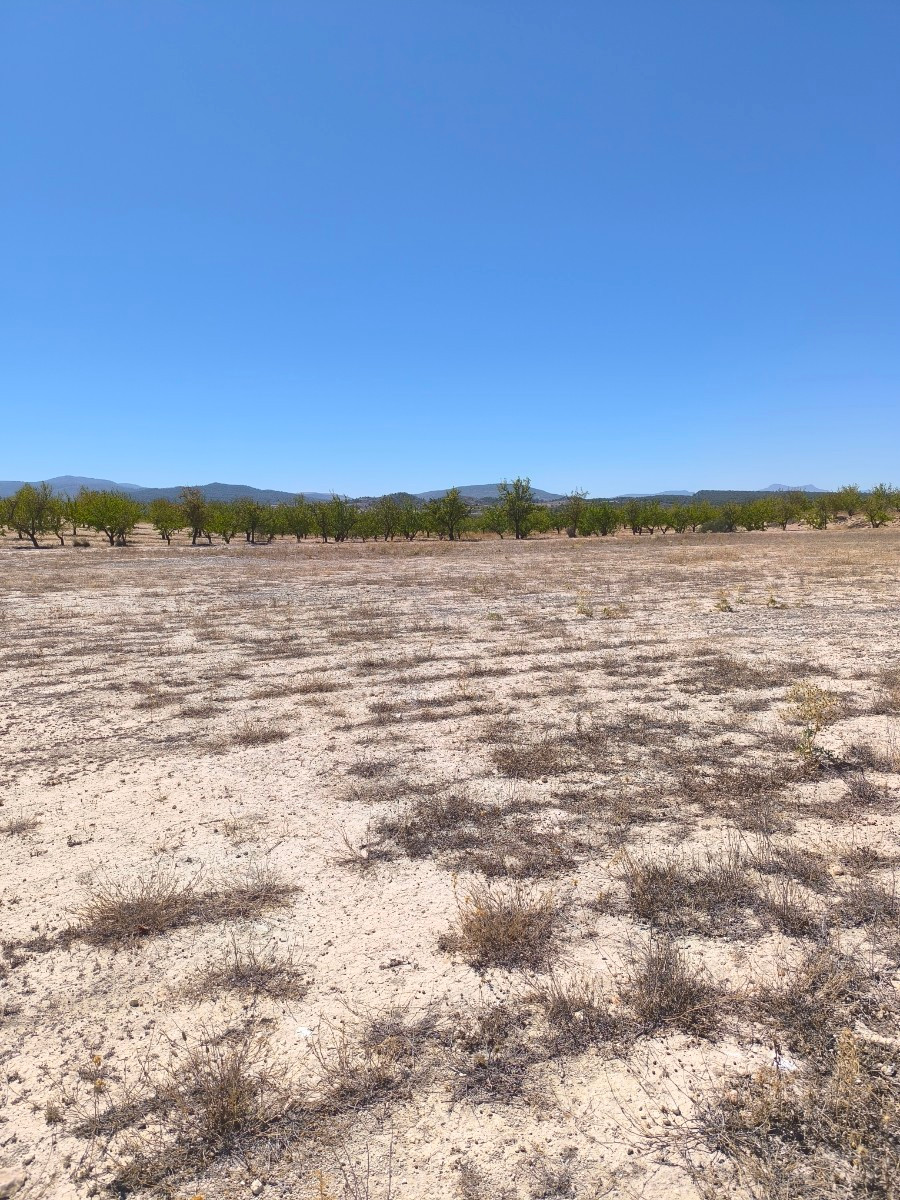 Se vende Terreno Rustico  en Costa Blanca, Alicante, España