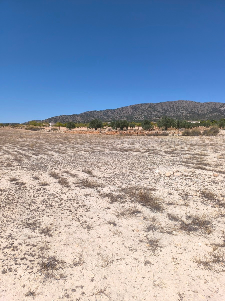 Se vende Terreno Rustico  en Costa Blanca, Alicante, España