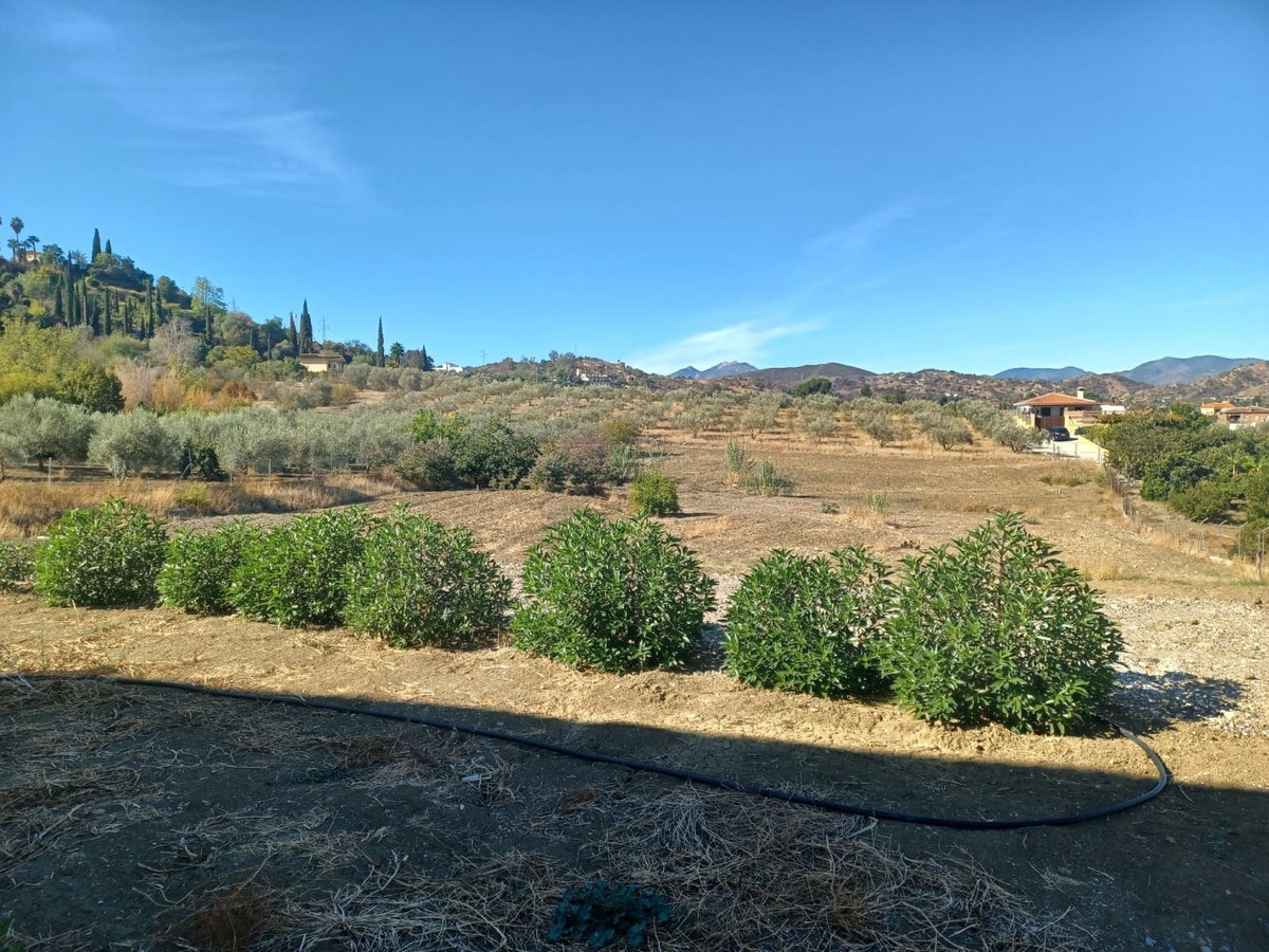 Se vende Finca - Cortijo de 3 dormitorios en Costa Del Sol, Málaga, España