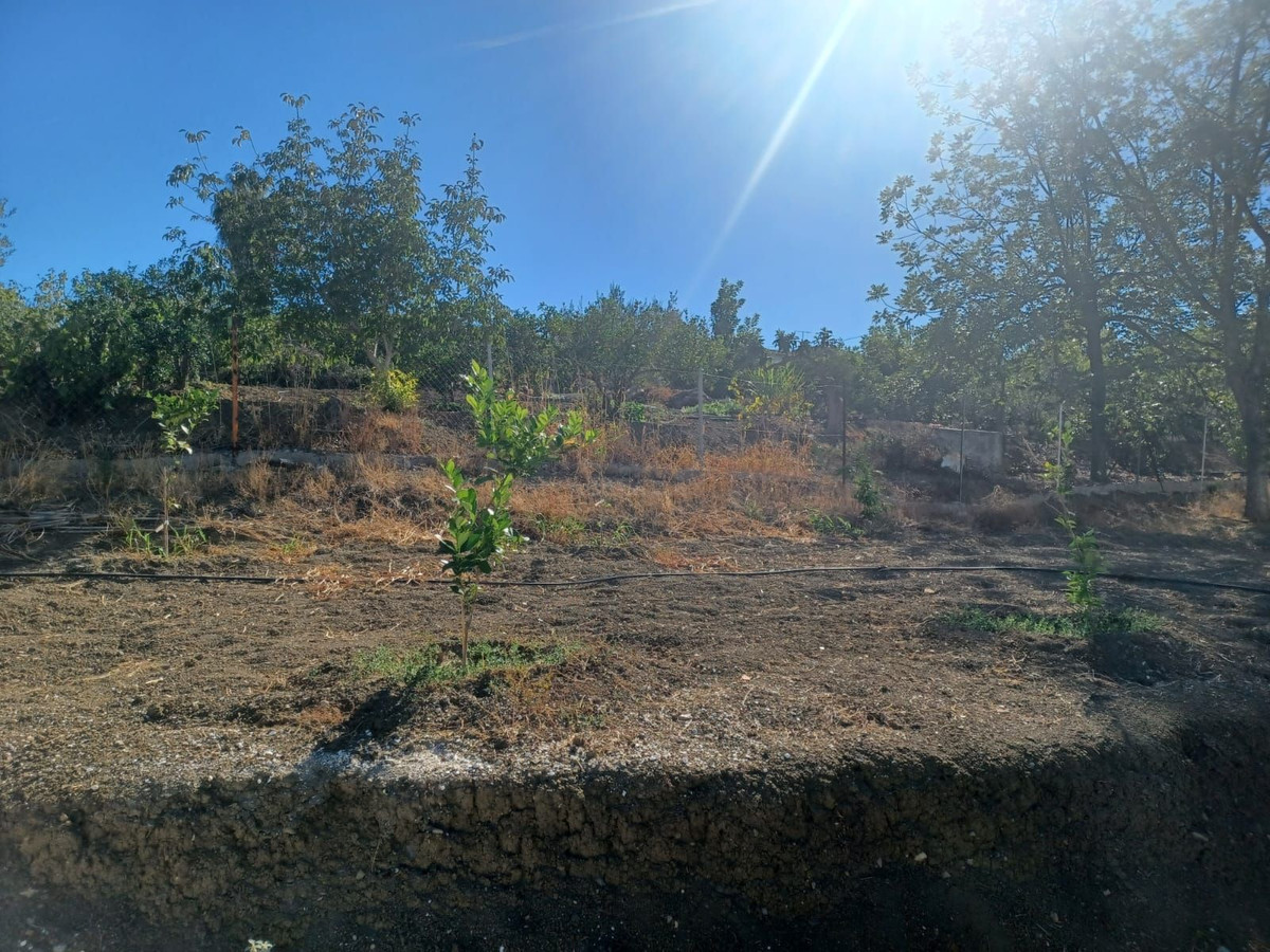 Se vende Finca - Cortijo de 3 dormitorios en Costa Del Sol, Málaga, España