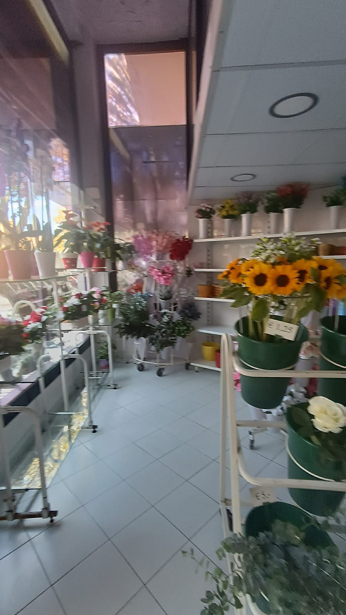 Se vende Otro  en Costa Del Sol, Málaga, España
