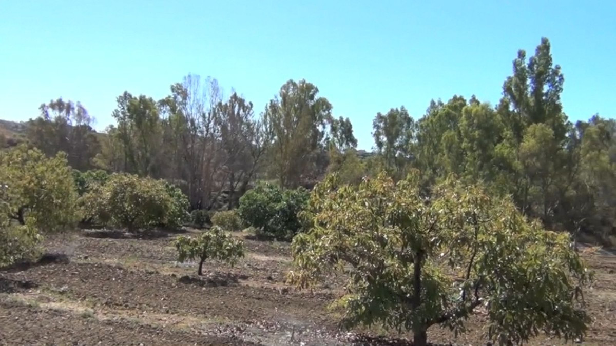 Se vende Finca - Cortijo de 4 dormitorios en Málaga, Málaga, España