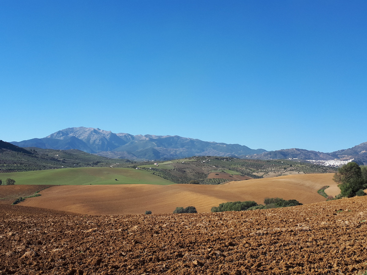 Plots for sale in Coín Costa Del Sol, Málaga, Spain