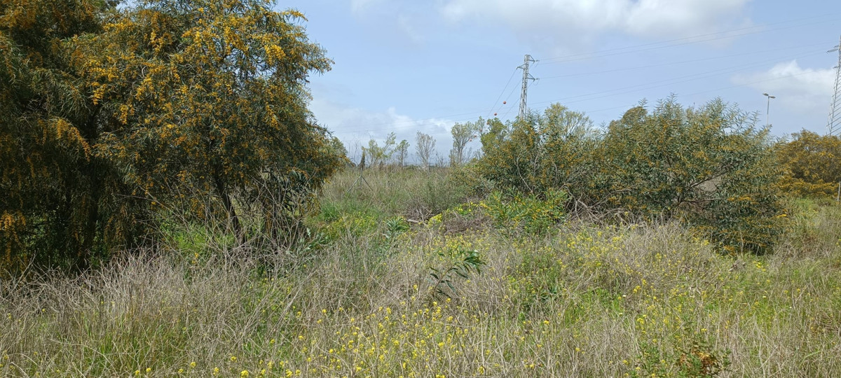 Plots for sale in The Golden Mile Costa Del Sol, Málaga, Spain