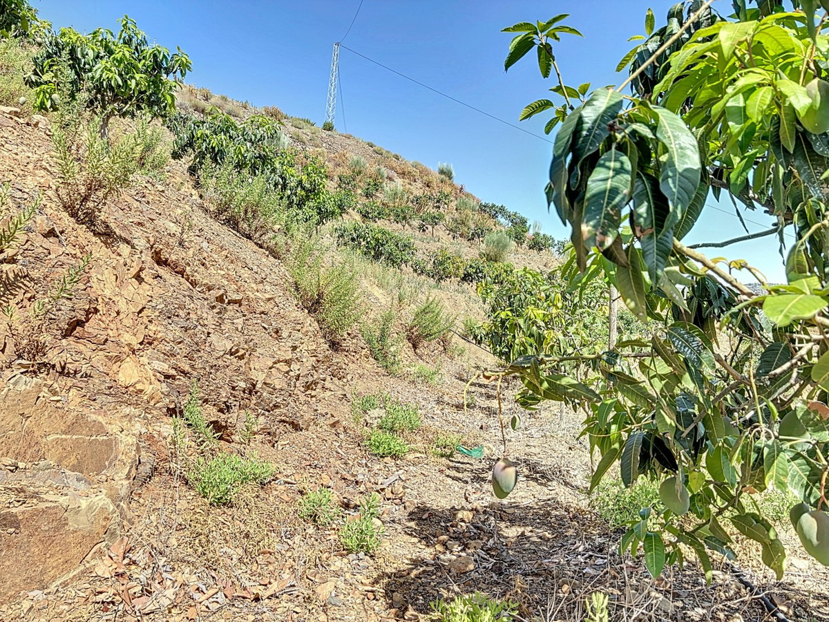 Se vende Terreno Rustico de 1 dormitorios en Costa Del Sol East, Málaga, España