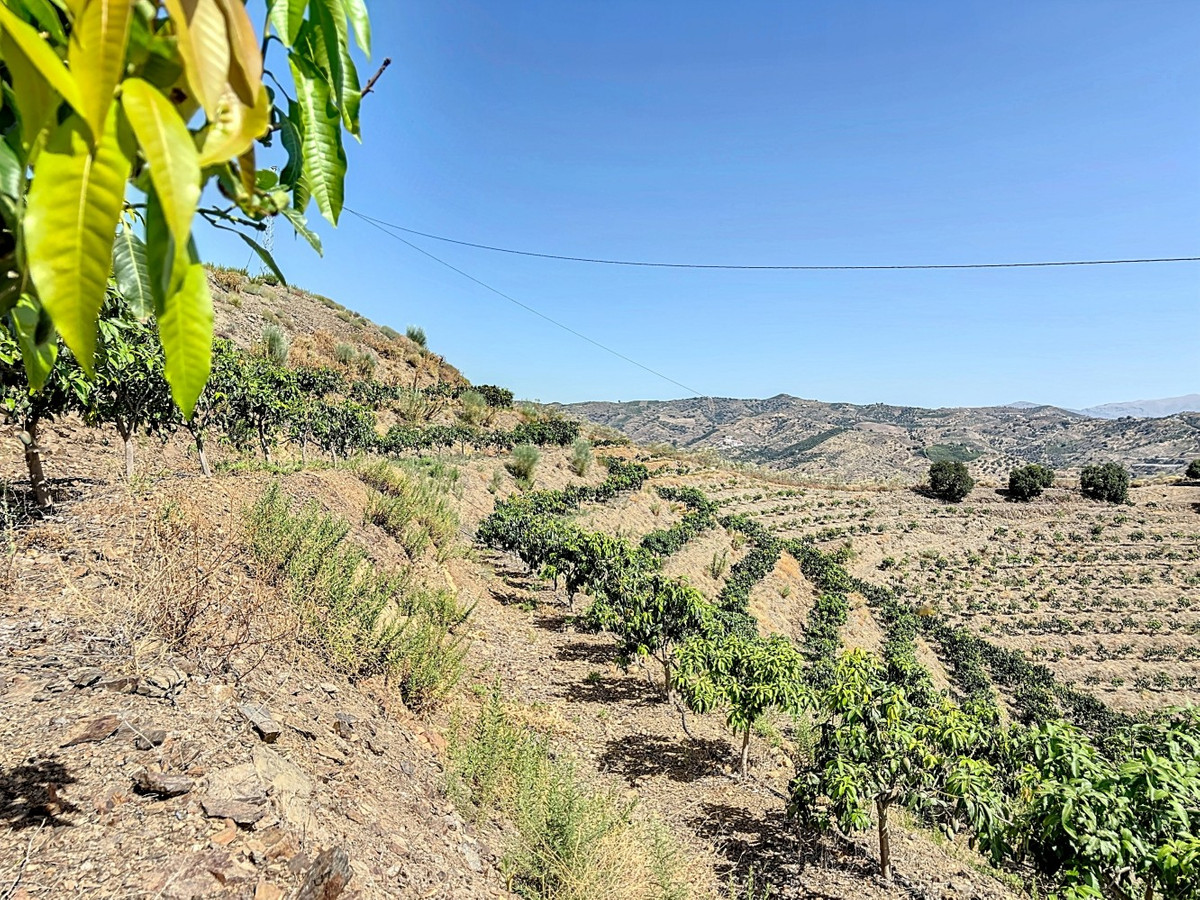 Se vende Terreno Rustico de 1 dormitorios en Costa Del Sol East, Málaga, España