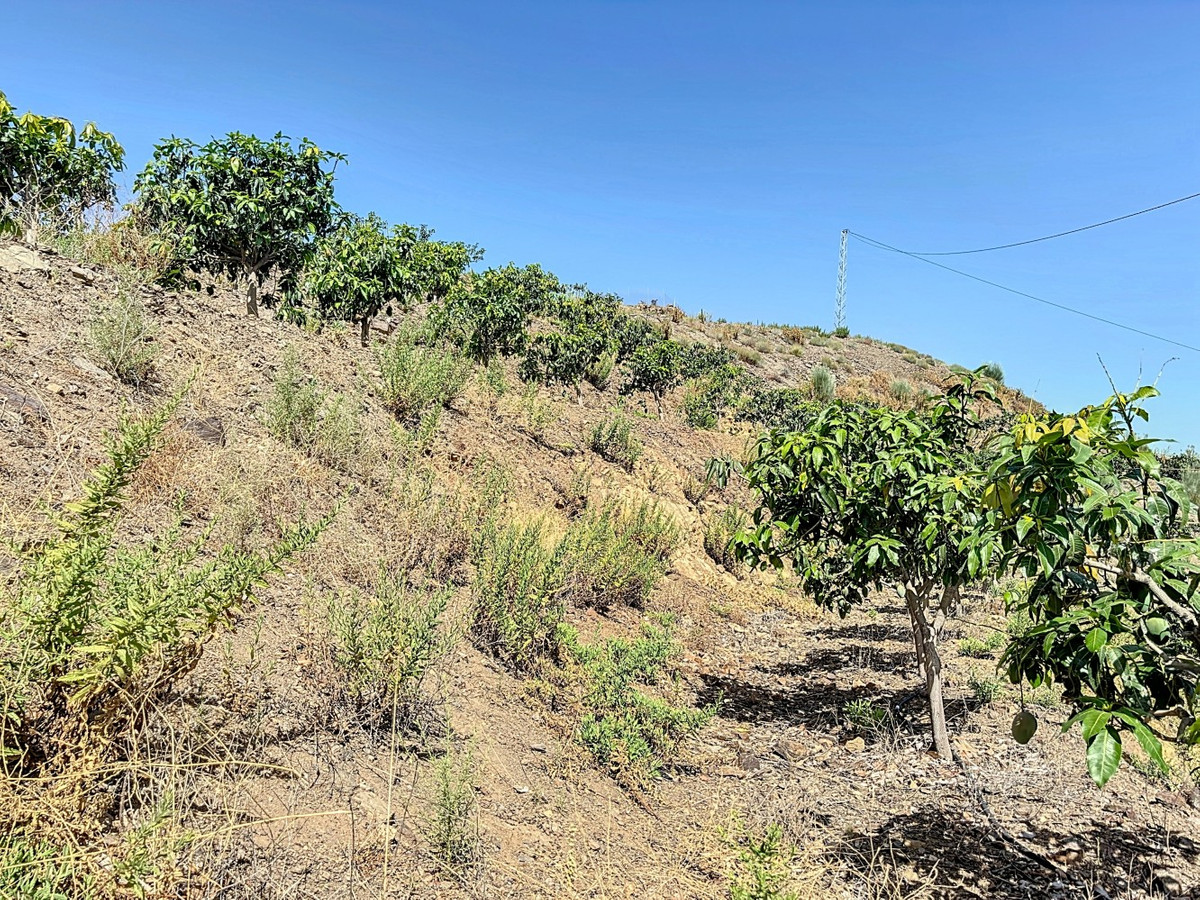 Se vende Terreno Rustico de 1 dormitorios en Costa Del Sol East, Málaga, España