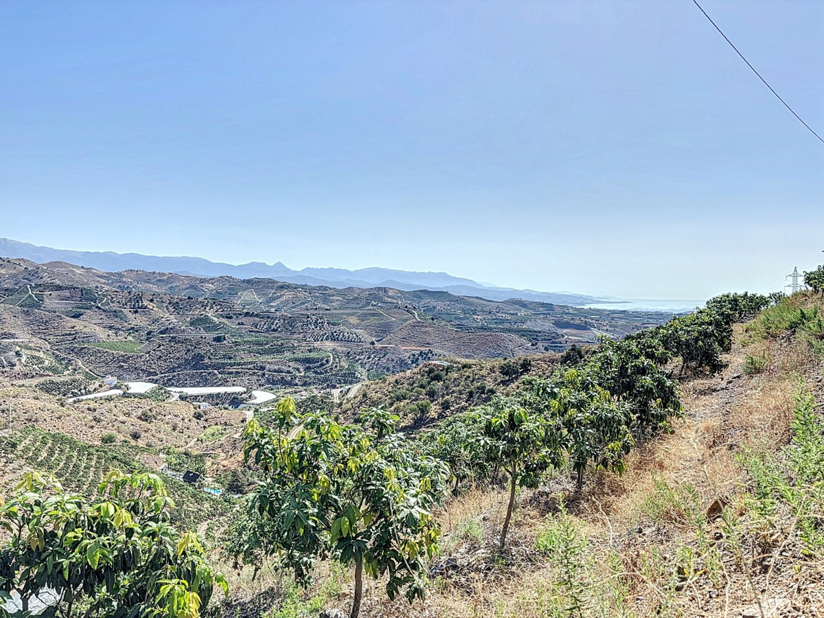 Se vende Terreno Rustico de 1 dormitorios en Costa Del Sol East, Málaga, España
