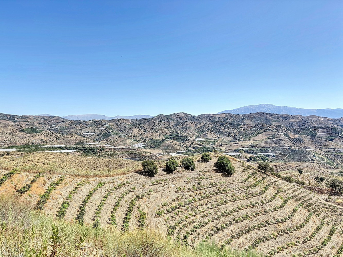 Se vende Terreno Rustico de 1 dormitorios en Costa Del Sol East, Málaga, España