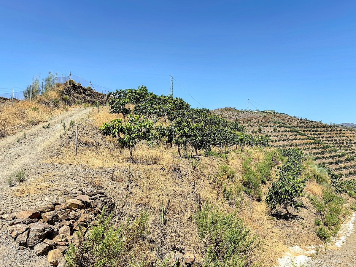 Se vende Terreno Rustico de 1 dormitorios en Costa Del Sol East, Málaga, España