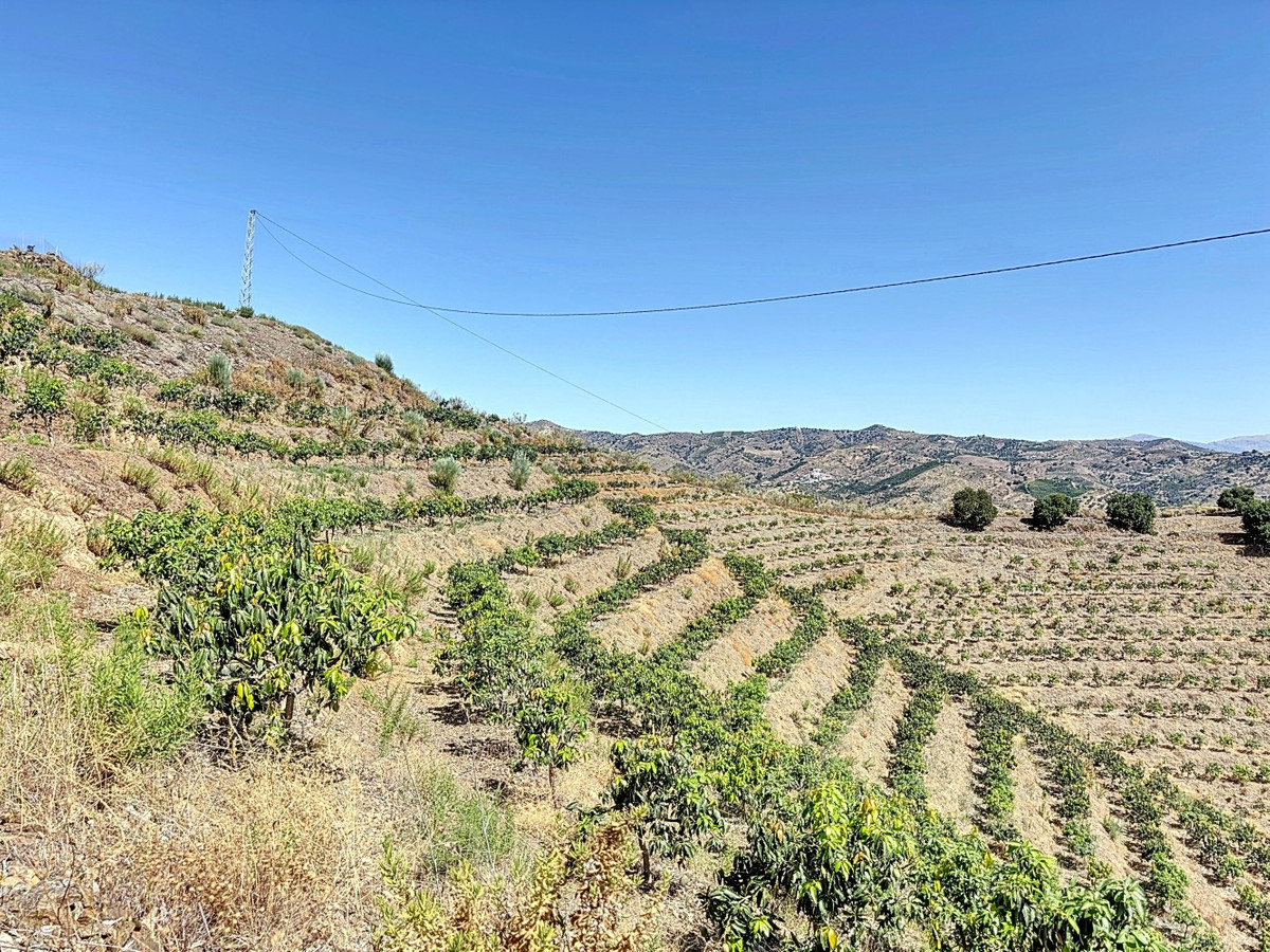 Se vende Terreno Rustico de 1 dormitorios en Costa Del Sol East, Málaga, España