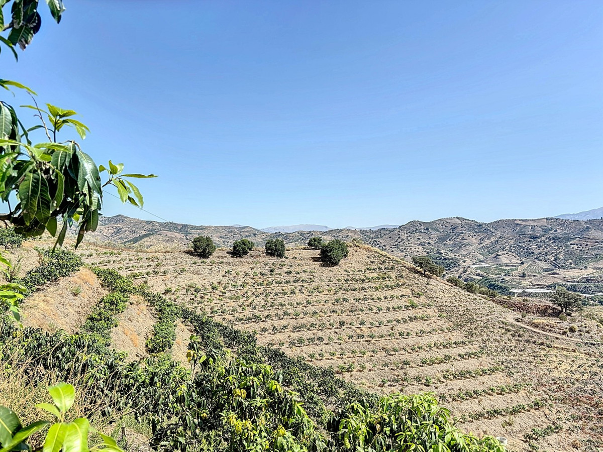 Se vende Terreno Rustico de 1 dormitorios en Costa Del Sol East, Málaga, España