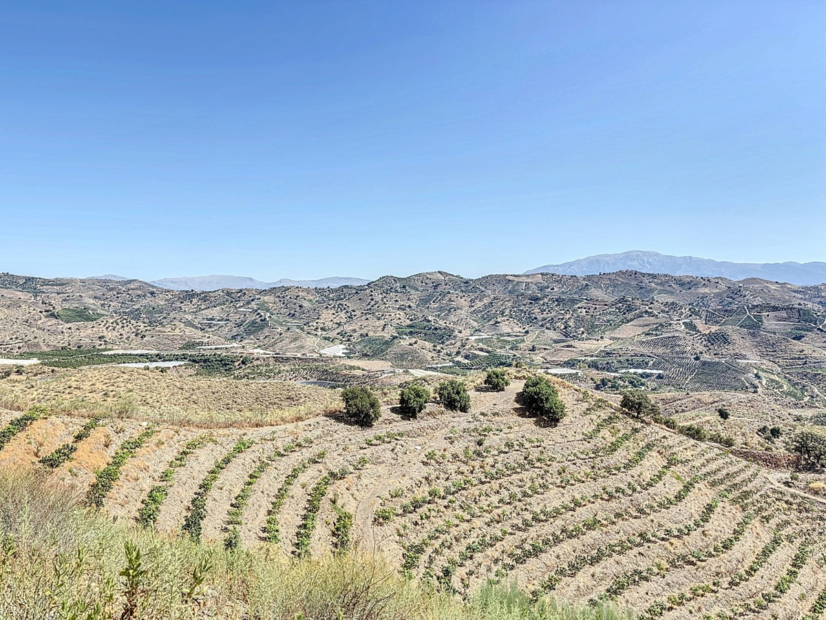 Se vende Terreno Rustico de 1 dormitorios en Costa Del Sol East, Málaga, España