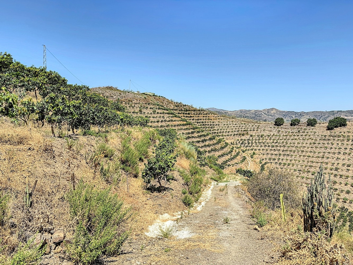 Se vende Terreno Rustico de 1 dormitorios en Costa Del Sol East, Málaga, España